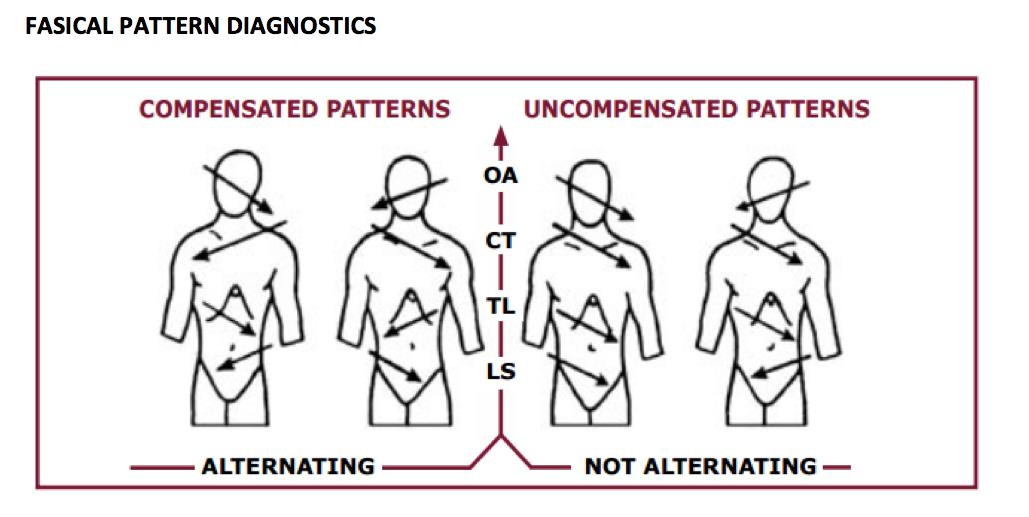 Fascia diagnosys