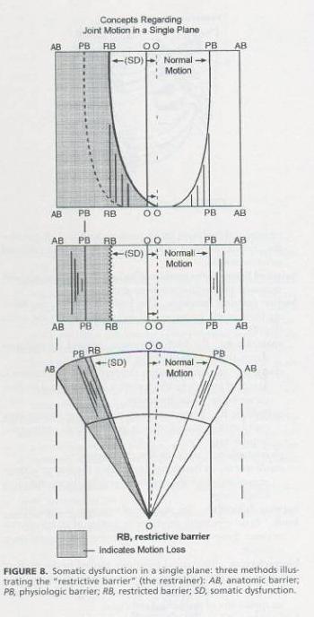 the concept of barrier in fascia